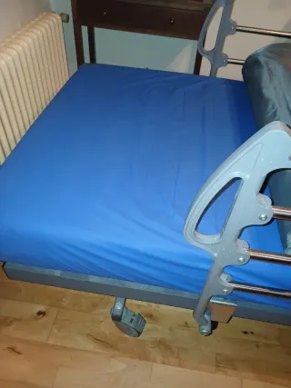 Cama Ortopédica Eléctrica Articulada