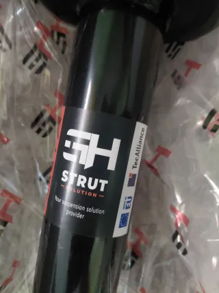 Amortiguadores Audi (2 unidades) SH