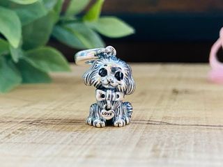 Charm Perro Yorkshire Sentado - Plata