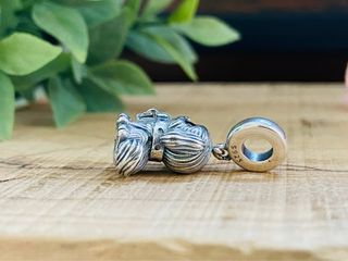 Charm Perro Yorkshire Sentado - Plata