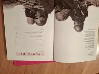 Historia Ilustrada de la Guerra Civil Española:...