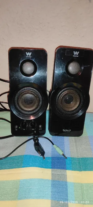 Pareja Altavoces Woxter Big Bass 95 Negro