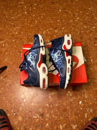 Zapatillas Nike Air Max Plus Rayo