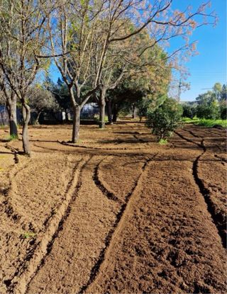 Servicios de parcela: arar, sulfatar, etc.