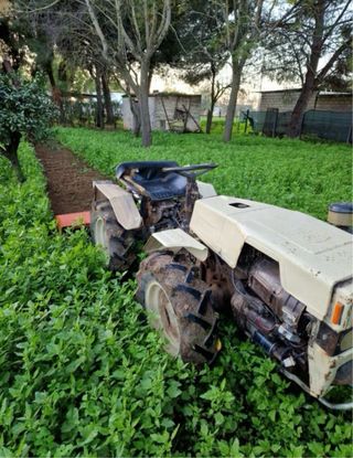 Servicios de parcela: arar, sulfatar, etc.