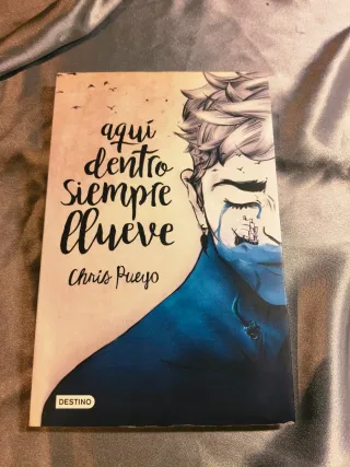 Aquí dentro siempre llueve