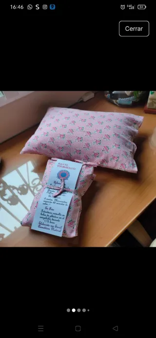 Lote: Saquito térmico + cojín reposacabezas