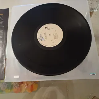 Ozzy Osbourne The Ultimate Sin Vinilo LP