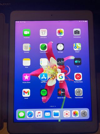 Apple iPad Air Argento