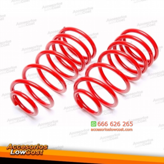 KIT MUELLES DEPORTIVOS BMW X5 E53