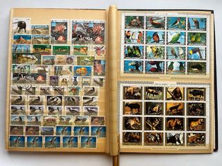 Reservado para Ricardo!