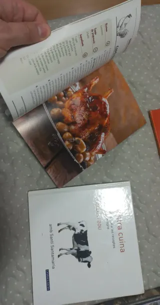 Cinco libros de cocina. Español y catalán.