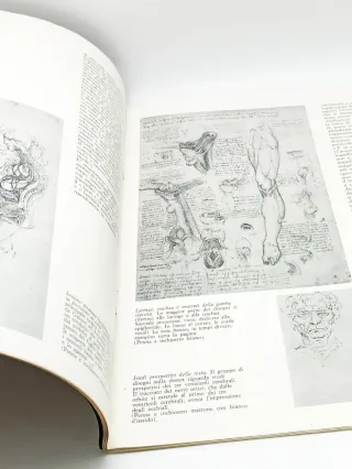 Rara Rassegna Clinico-Scientifica 1979 - Leonardo