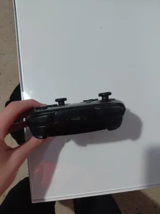 Mando Nintendo Switch Pro
