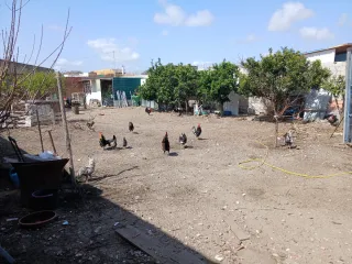 Terreno en venta ,semicentrico,475 metros ,