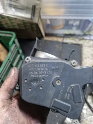 Cuerpo Mariposa grupo vag