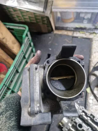 Cuerpo Mariposa grupo vag