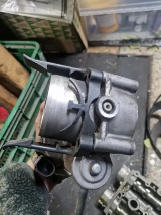 Cuerpo Mariposa grupo vag