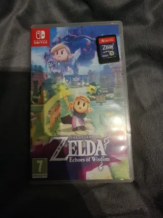 The Legend of Zelda: Echoes of Wisdom