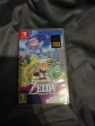 The Legend of Zelda: Echoes of Wisdom