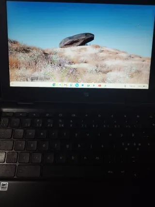 ASUS Chromebook C204MA-GJ0204