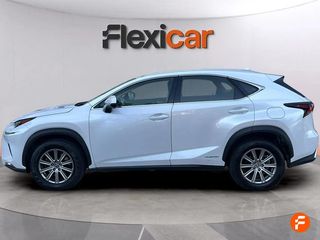 Lexus NX 2.5 300h Business Navigation 2WD