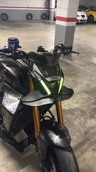 Alerón Yamaha MT 09 V3