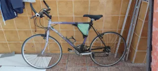 Bicicleta Vintage Orbea Morada