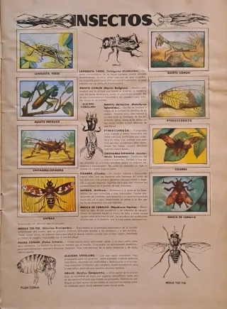 Álbum Zoo 1954 - Colección Historia Natural