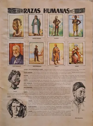 Álbum Zoo 1954 - Colección Historia Natural