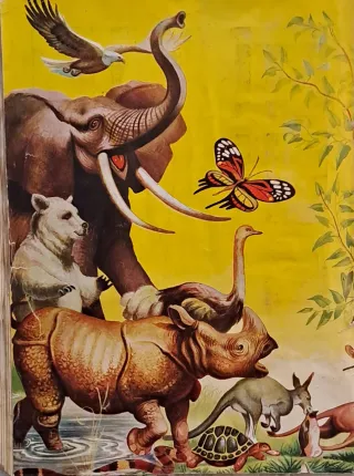 Álbum Zoo 1954 - Colección Historia Natural