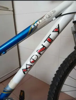 Bicicleta Monty