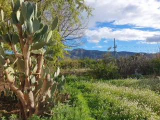 Terreno de huerta rústico y urbanizable.