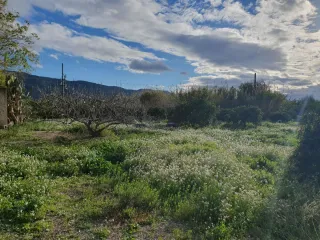 Terreno de huerta rústico y urbanizable.