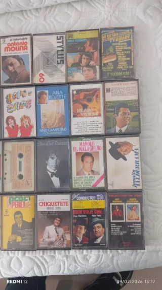 Lote de 30 Cintas Cassette Música Variada