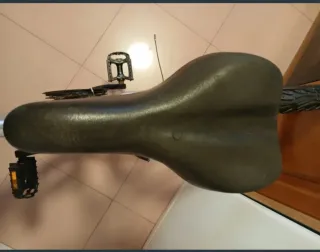 Bicicleta Aluminio Globe Trotter