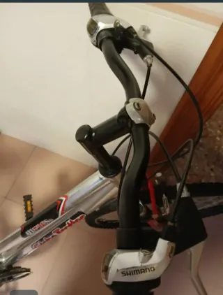 Bicicleta Aluminio Globe Trotter