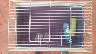 Jaula para conejo morada y blanca