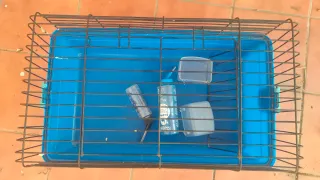 Jaula para conejo morada y blanca