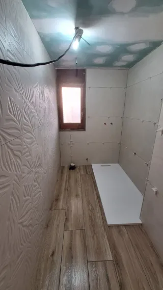 Servicios de paletería