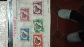 Collezione francobolli anni '60/'70