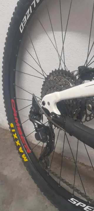 Specialized Camber Carbono 29