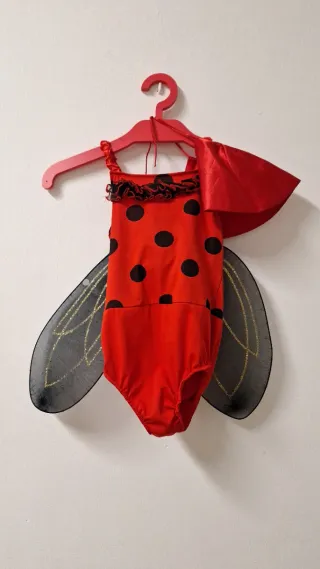 Disfraz mariquita niña