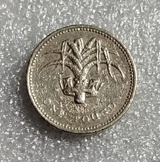 Lote 5 Monedas 1 Libra Esterlina