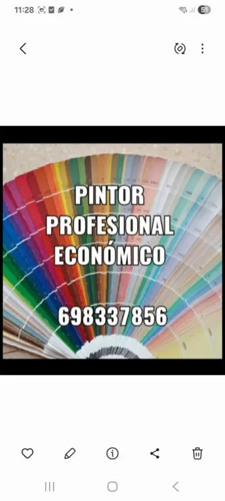 Pintor profesional muy económico!!