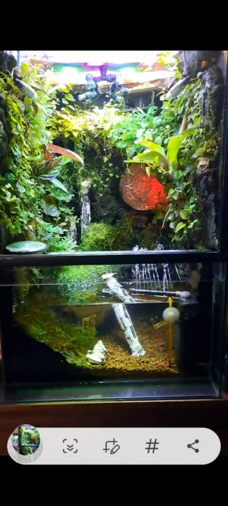 PALUDARIO/ACUARIO/TERRARIO