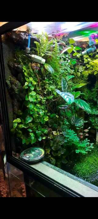 PALUDARIO/ACUARIO/TERRARIO