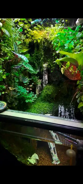 PALUDARIO/ACUARIO/TERRARIO