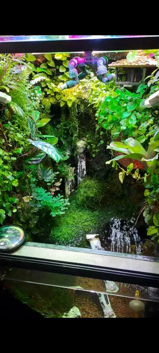 PALUDARIO/ACUARIO/TERRARIO