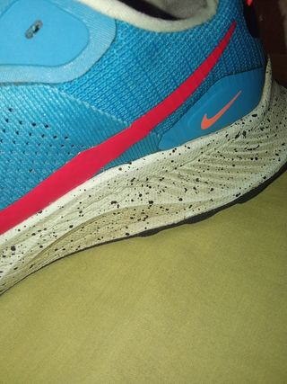 Nike Pegasus Trail 3